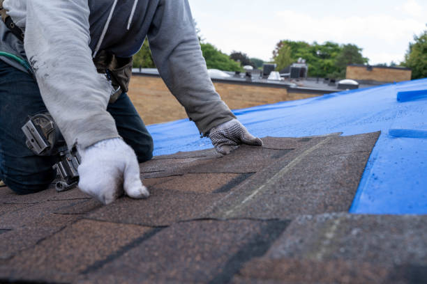 Best Best Roofing Contractors  in Laureles, TX