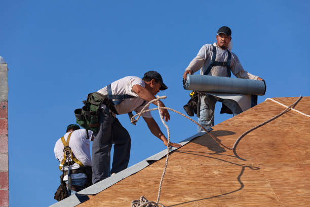 Best Shingle Roofing Installation  in Laureles, TX