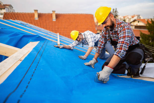 Best Roof Restoration Services  in Laureles, TX