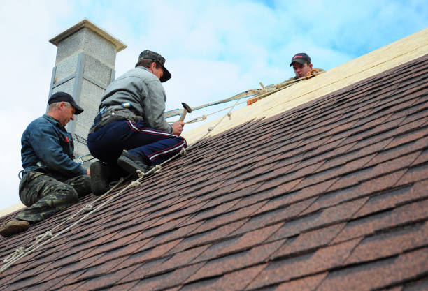 Best Storm Damage Roof Repair  in Laureles, TX